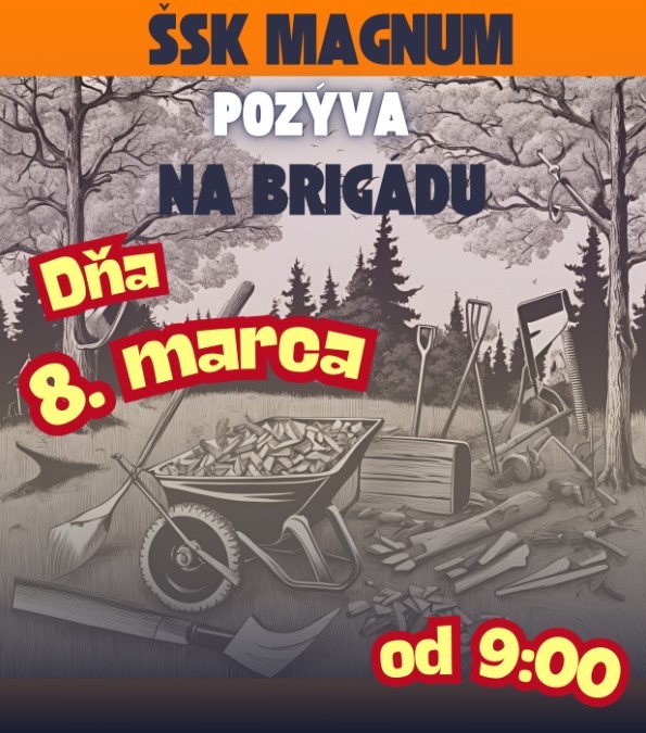 brigada-8.3.25-web.jpg